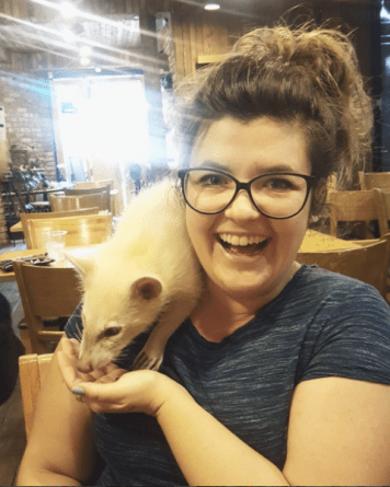 screen-shot-2016-12-03-at-1-30-19-pm